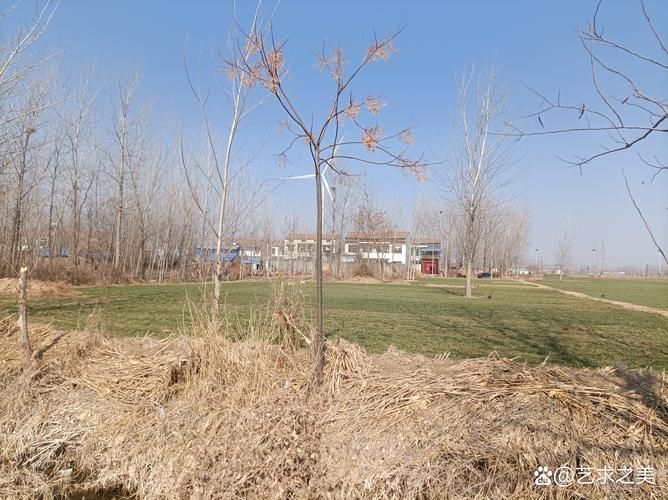 虞城：豫东平原交通节点上的疫情阻击战