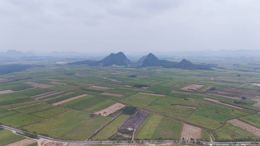 广西来宾：桂中腹地如何构筑疫情防线？_24773