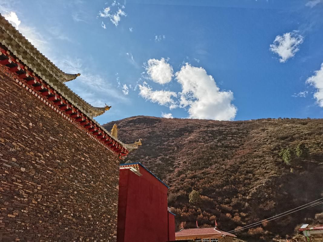 2022年11月25日壤塘新增确诊病例情况_74339