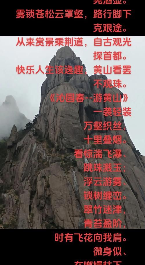 黄山之巅的守望：一座旅游名城的疫情压力测试