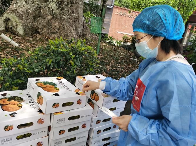 武定县：滇中锁钥的疫情防线与零感染坚守