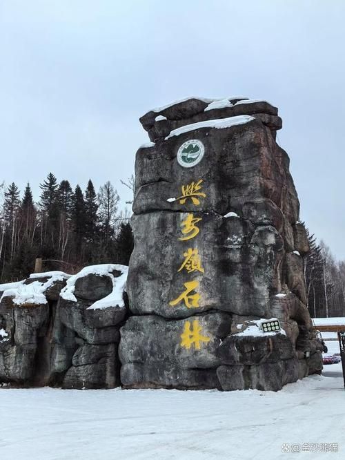 南岔林海屏障下的零感染坚守：小兴安岭腹地的防疫样本