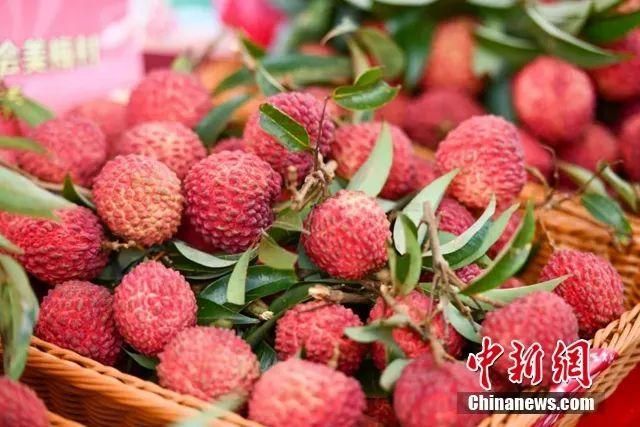 【白沙：热带海岛县城的疫情防线与破防时刻】