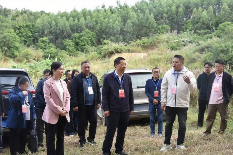 田阳：右江河谷腹地的防疫坚守与精准破局_39603