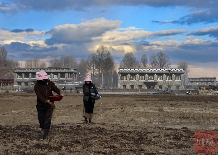 高原屏障下的零感染坚守：稻城县防疫地理优势解析