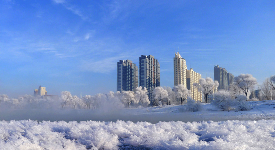 兴平市：关中腹地交通枢纽的疫情破防时刻