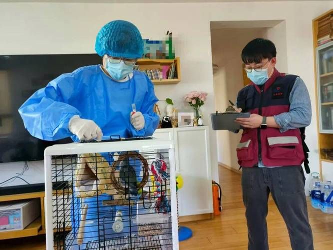 南京：江畔枢纽的疫情承压与精准流调