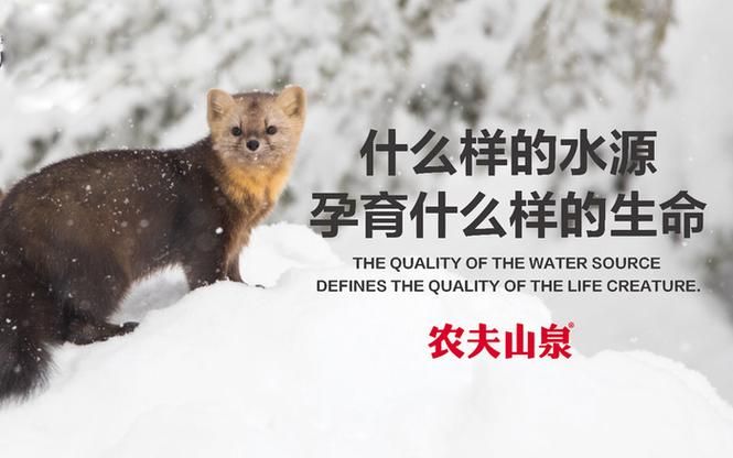 洞庭水网间的防疫突围：安乡县如何阻断病毒水上传播链？