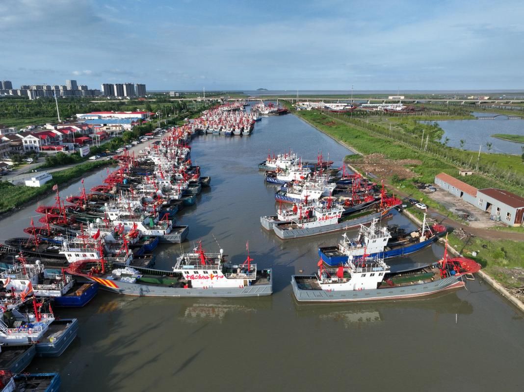 吴川市：沿海渔港的防疫破口与物理防线