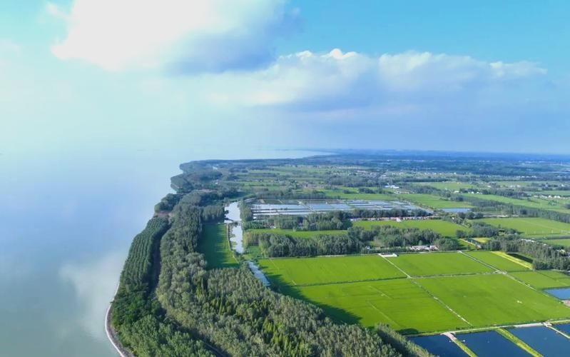 【洪泽湖水域屏障下的防疫挑战与应对】