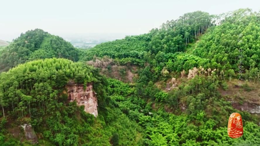 【青神竹海间的静默防线：一座川西小城的零感染地理密码_22822】