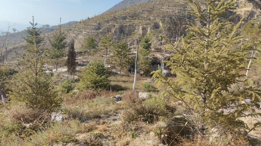 广河县疫情观察：高原县域的防控压力与地理屏障