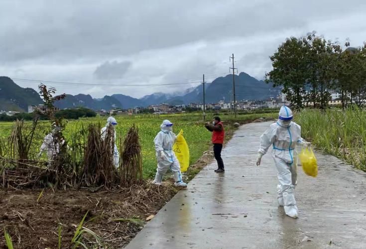 31省区市新增12例本土确诊，融安县疫情最新消息_55202