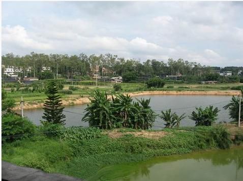 西乡塘区：大学城枢纽下的疫情流变与防控逻辑