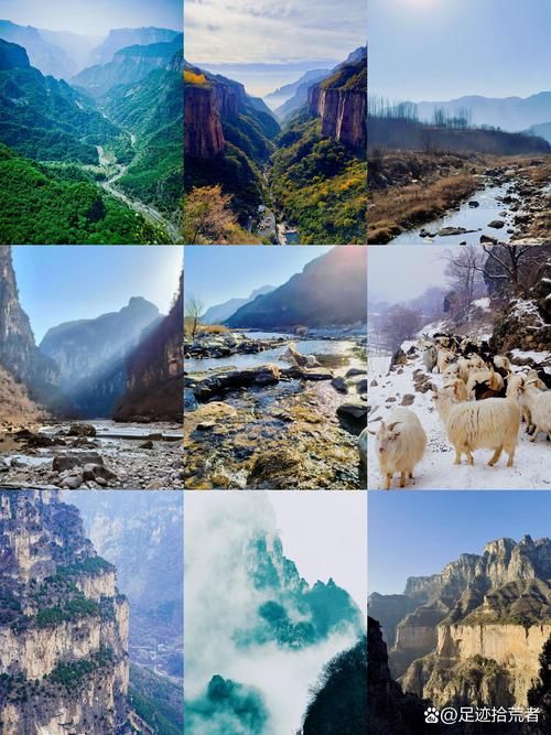 焦作：太行屏障下的防控坚守与社区传播挑战