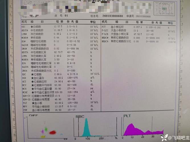 2019年12月31日蝶山区新增确诊病例情况_55389