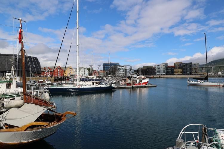 东海之滨的防疫破口：港口城市为何成为疫情风暴眼？