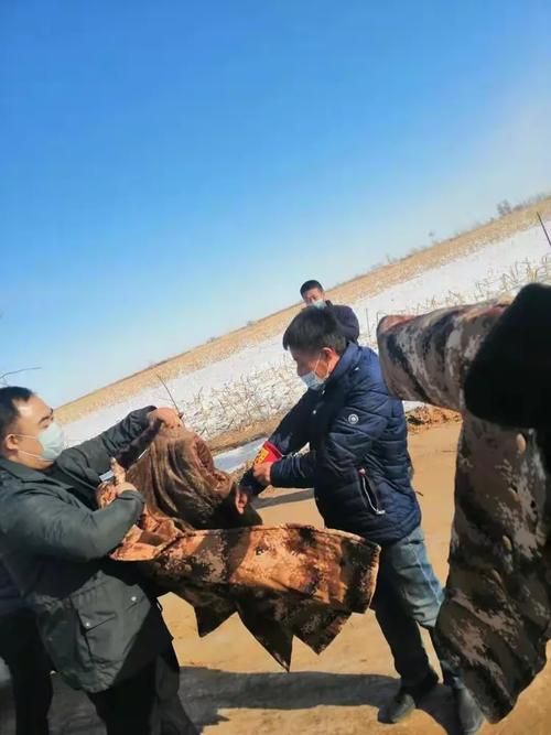 长岭疫情观察：松嫩平原腹地的防控压力测试