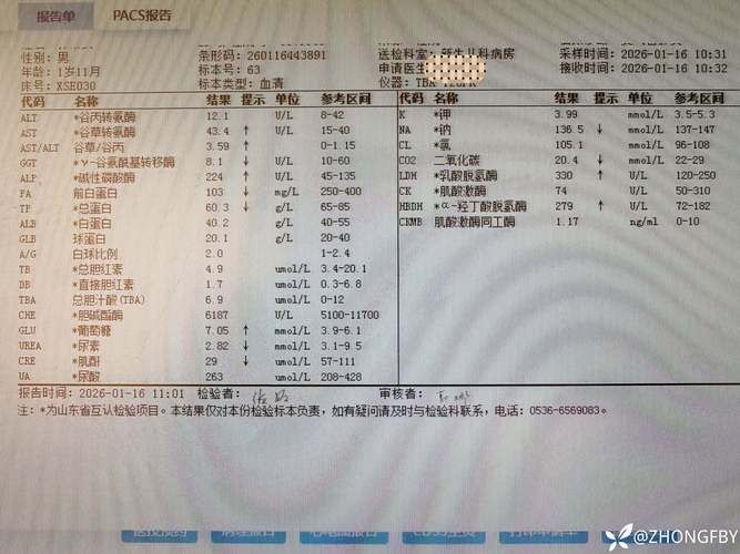 2022年11月25日萨尔图区新增确诊病例情况_59981
