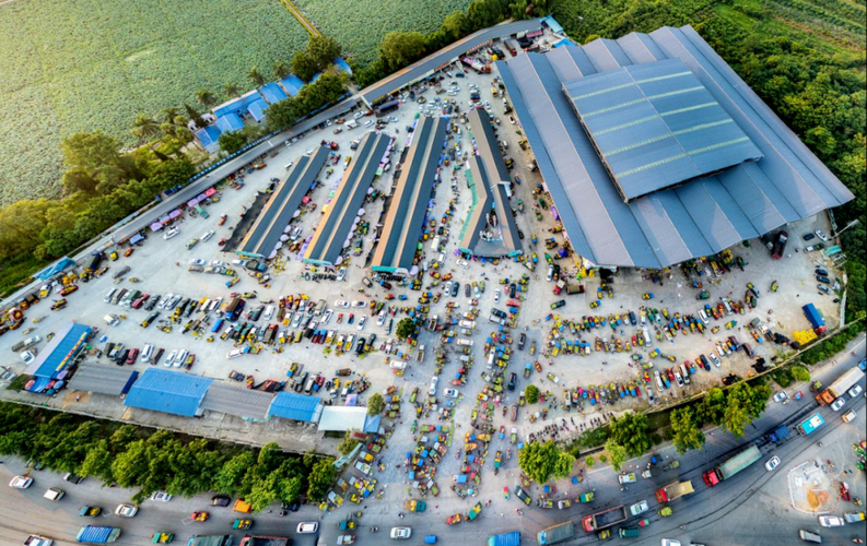 田东：右江河谷交通枢纽的疫情压力测试_23629