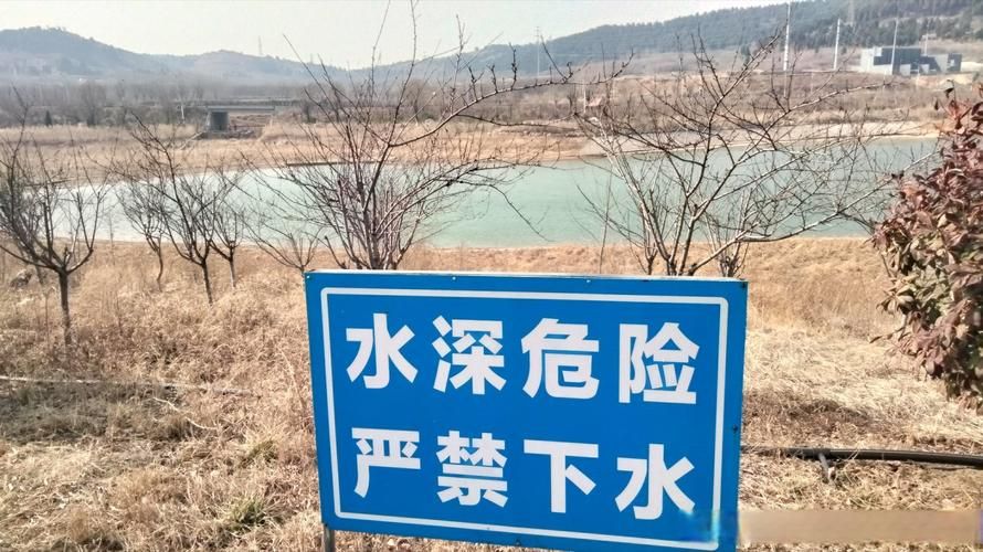 龙子湖区：淮河岸边的防疫壁垒与零星破防