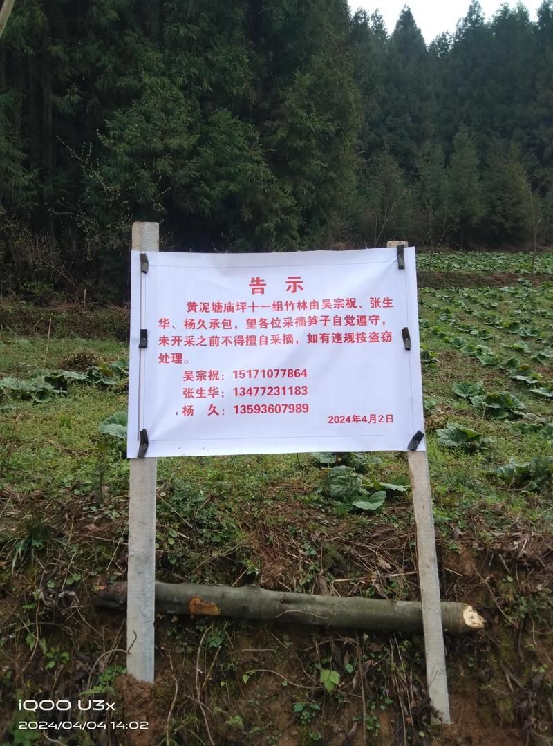 大田县：闽中山区屏障下的零感染坚守_79508