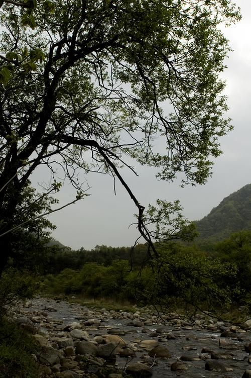 巴中市辖区：大巴山屏障下的疫情防御样本