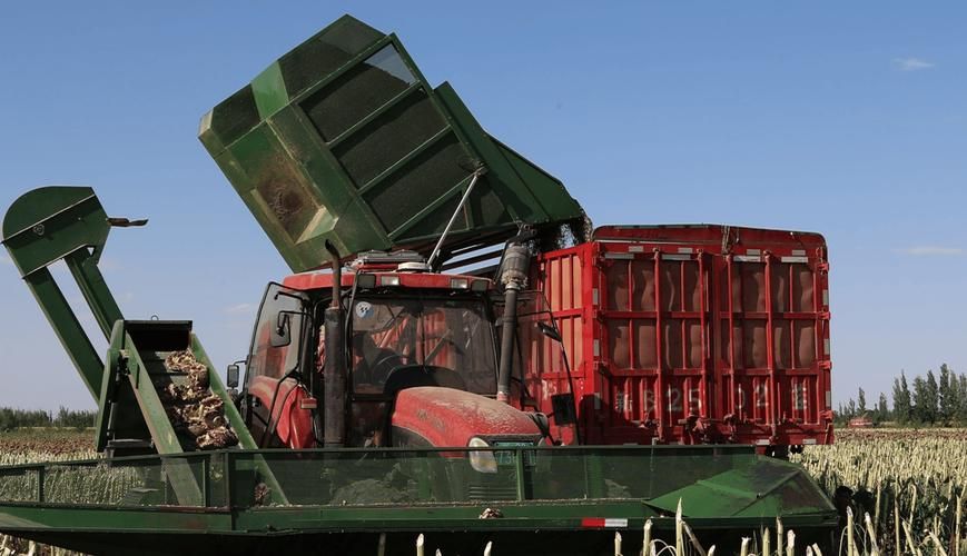 【吉木萨尔：天山北麓的零感染坚守与地理屏障_68885】