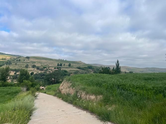 会宁：黄土高原交通节点下的疫情破防与围堵