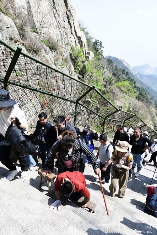 泰安疫情溯源：泰山屏障下的防控挑战与应对