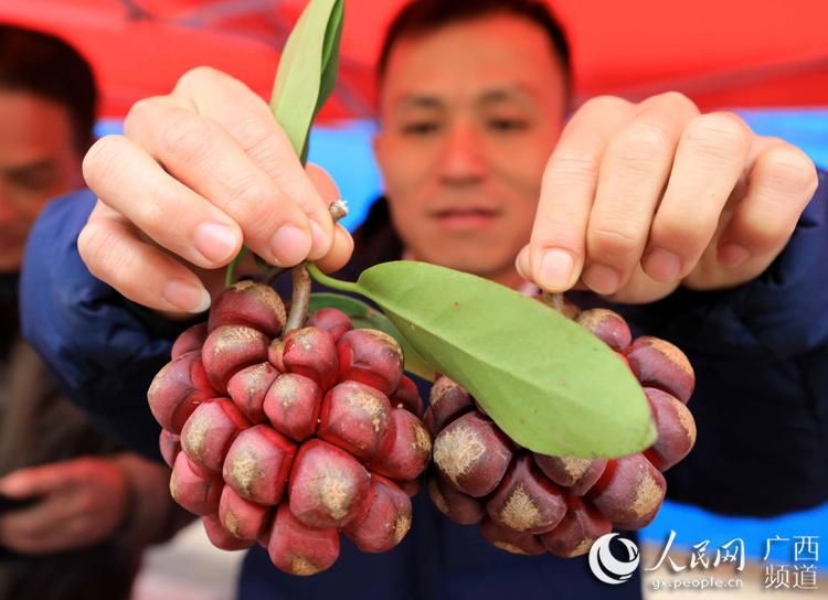 融安：桂北交通枢纽的疫情防线与破防时刻_57661