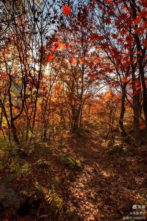 本溪山城屏障下的疫情破防：地理优势为何未能阻截病毒？