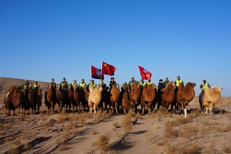 白城：草原边城的零感染防线与交通枢纽下的防控压力