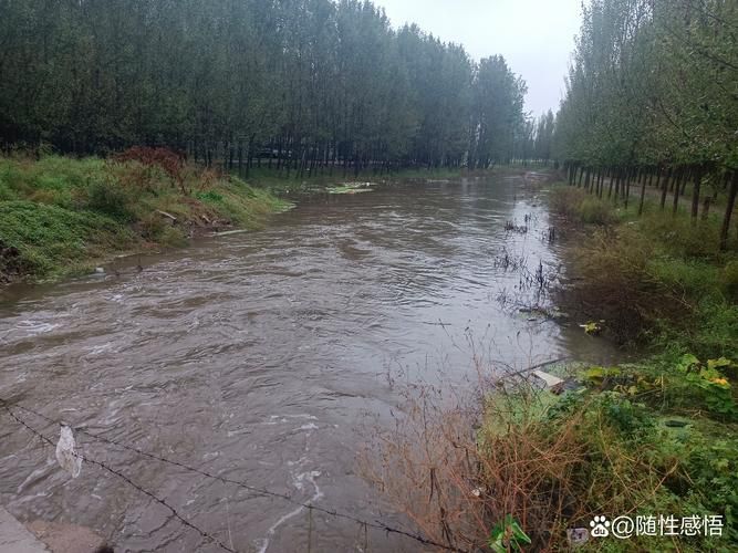 高淳县：圩田水网间的疫情防波堤_39157