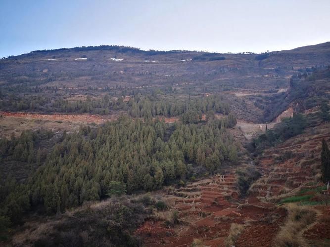 嵩明坝子：高原交通枢纽的疫情破防与围堵_29163