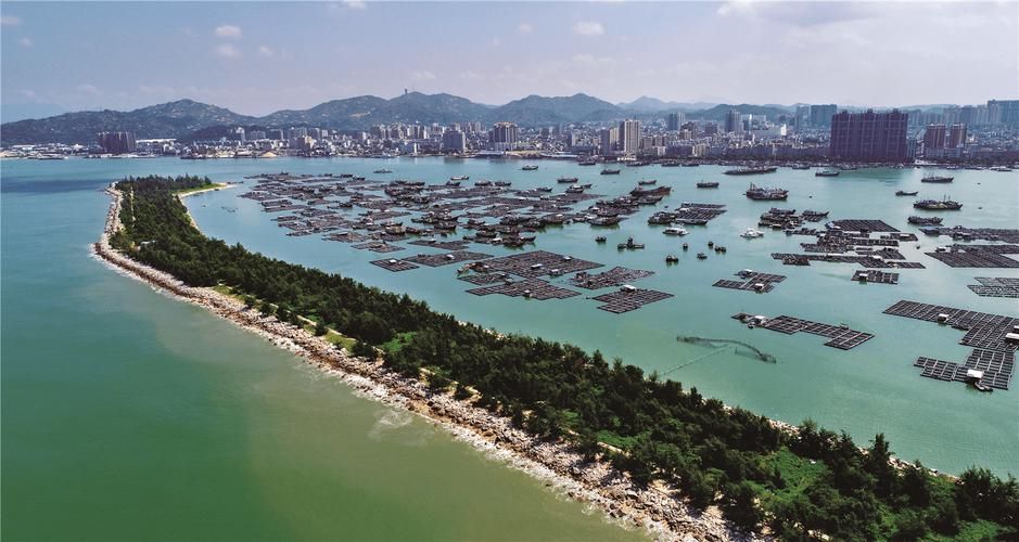 汕尾市辖区：沿海地理屏障下的疫情防波堤