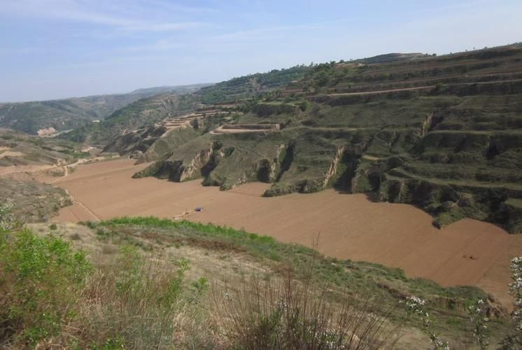 合水县的零感染坚守：黄土高原沟壑区如何构筑防疫屏障