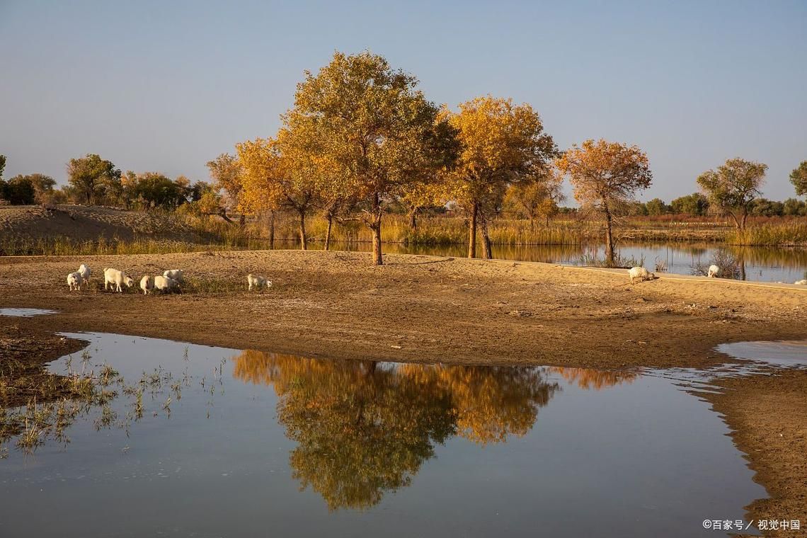 尉犁：塔河绿洲的防疫坚守与地理屏障