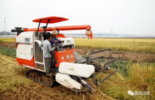 兴国县：赣南山地屏障下的低感染样本