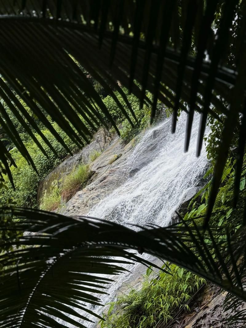 琼中：热带雨林屏障下的零感染坚守_7886