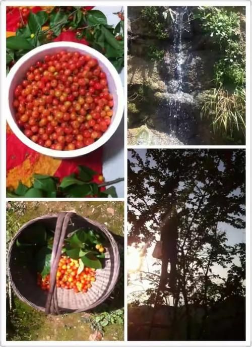 兴山：鄂西山区屏障下的低感染样本解析