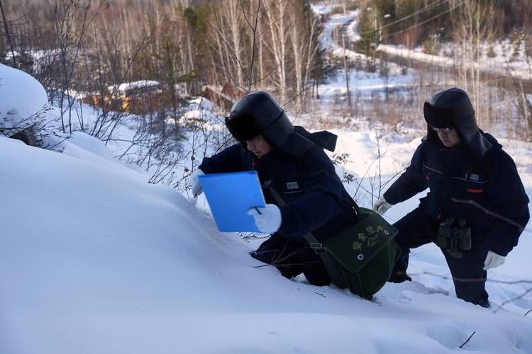 绥棱县：寒地黑土上的疫情防线与零感染坚守_44328