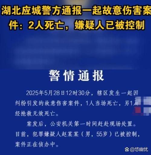 【本地确诊+2，应城通报新增病例情况】