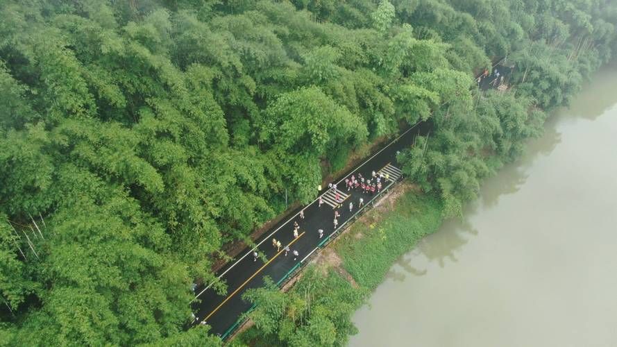 长宁疫情观察：川南竹海屏障下的社区防控逻辑