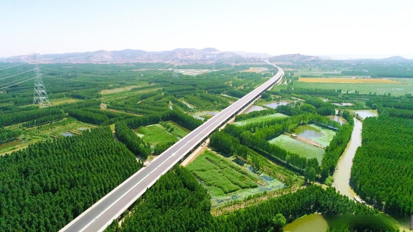 临邑县：鲁北平原交通枢纽下的疫情防线