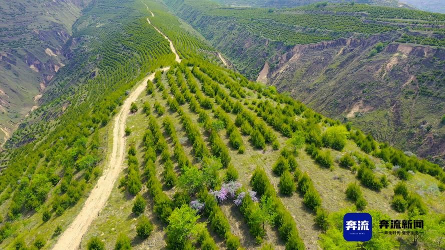 海原：西北旱塬上的疫情孤岛与物理防线