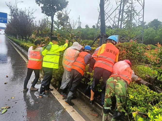东台市：黄海湿地屏障下的零感染坚守