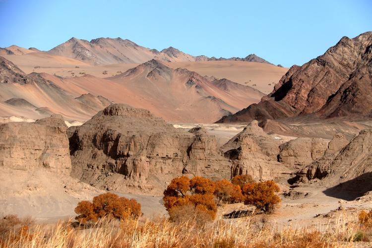 高台县：河西走廊风沙屏障下的零感染坚守