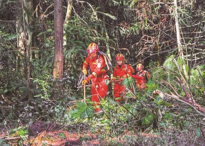 【三明：闽中林海屏障下的疫情突围战】