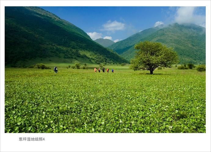 东阿阿胶之乡的零感染防线：地理屏障下的防疫实践